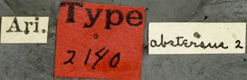 Media type: image;   Entomology 2140 Aspect: labels